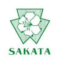Семена овощей Sakata