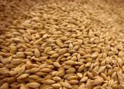 Пшеница, ячмень, отруби гранулированные