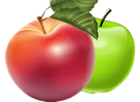 Саженцы летного сорта яблони Санрайз