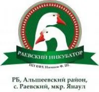 Раевский инкубатор логотип