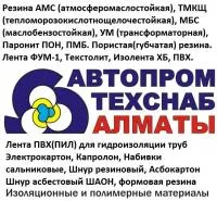ТОО "АвтоПромТехСнаб-Алматы" логотип
