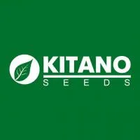 KITANO SEEDS логотип
