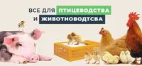 Оборудование для убоя коров, убойня КРС