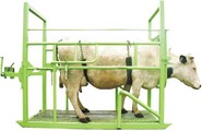 Оборудование для животноводства