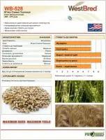 Американська озима пшениця WB-528
