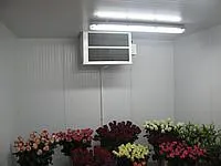 Холодильное оборудование для цветочных магазинов, складов