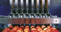Оборудование для (сортировки) калибровки фруктов и овощей