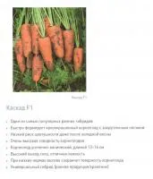 Семена моркови Каскад F1 (250000 семян) 2.40-2.60 mm