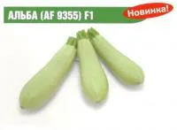 Семена кабачка Альба F1 (1000 семян)