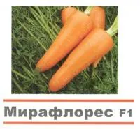 Семена моркови Мирафлорес F1 1,6-1,8 мм (100 000 сем)