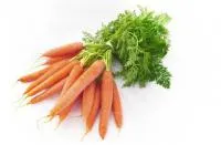 Семена моркови столовой сорта Яскрава