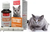 Гепатовет суспензия для кошек, 25 мл (гепатотропный лекарственный препарат для лечения печени)