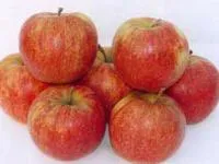Яблоки свежие сорта Декоста