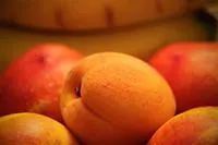 Саженцы абрикоса Мелитопольский поздний