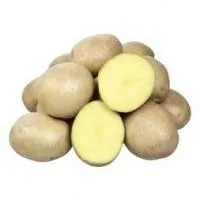 Семена картофеля Невский, Элита, фракция 28-60 мм