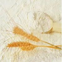 Глютен пшеничный производство Республика