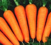 Семена моркови Абако F1, Seminis (Семинис), 1000000 с, (фр.1,8-2,0)
