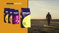 MAS Seeds - Гибриды подсолнечника