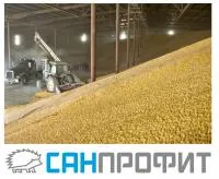 Уничтожение вредителей хлебных запасов на элеваторах, Санпрофит, Крым