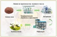 Оборудование для производства льняного масла из семян льна