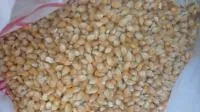 Фуражное кормовое зерно с доставкой