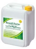 Жидкое удобрение Reasil Forte Carb - Ca/Mg/B - Amino