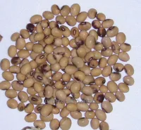 Семена сои Вильшанка