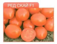 Семена томата Ред Скай F1 (1000с)