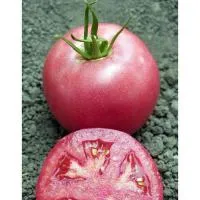 Семена розового томата Пинк Уникум F1 (500с)