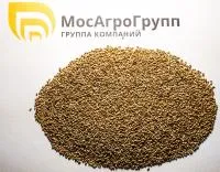 Семена тимофеевки луговой 1 кг