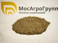 Семена овсяницы луговой Свердловская 37
