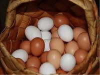 Куриное Яйцо оптом на экспорт